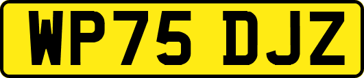 WP75DJZ