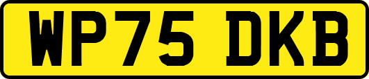 WP75DKB