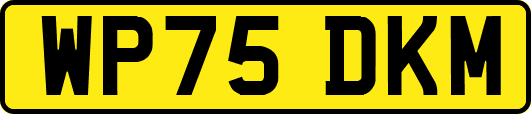 WP75DKM