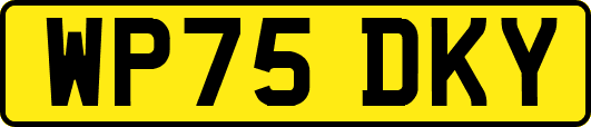 WP75DKY