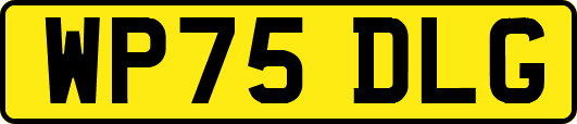 WP75DLG