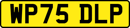 WP75DLP