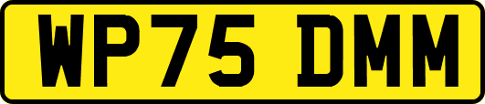 WP75DMM