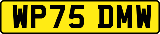 WP75DMW