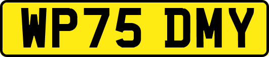 WP75DMY