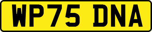 WP75DNA
