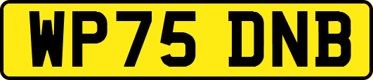 WP75DNB