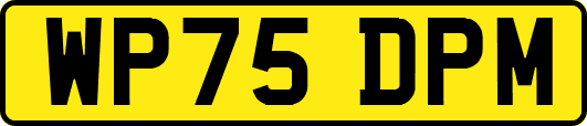 WP75DPM