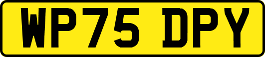 WP75DPY