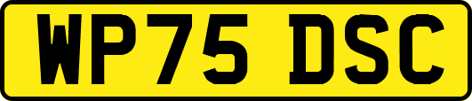 WP75DSC