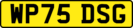 WP75DSG