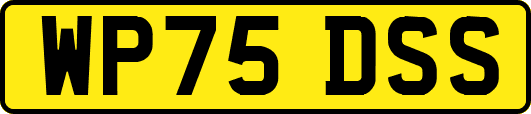 WP75DSS