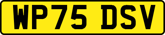 WP75DSV