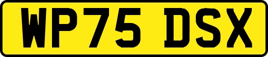 WP75DSX