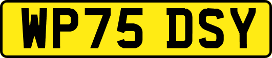 WP75DSY