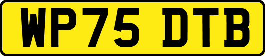 WP75DTB