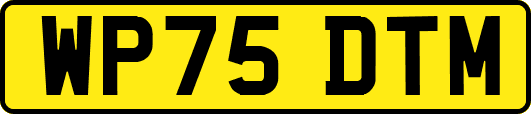 WP75DTM