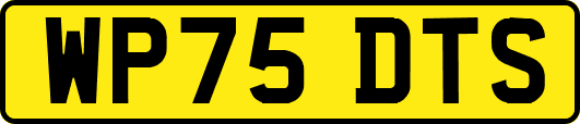 WP75DTS
