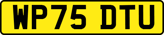 WP75DTU