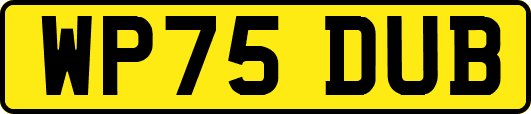 WP75DUB