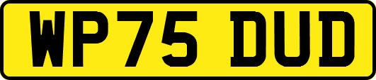 WP75DUD