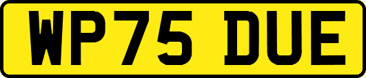 WP75DUE