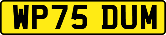 WP75DUM