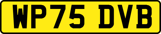 WP75DVB
