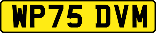 WP75DVM