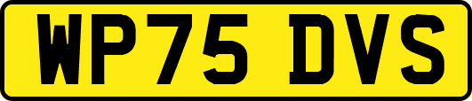 WP75DVS