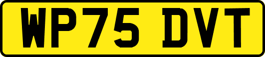 WP75DVT