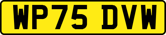 WP75DVW