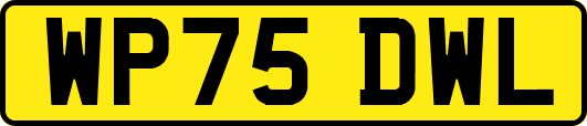WP75DWL