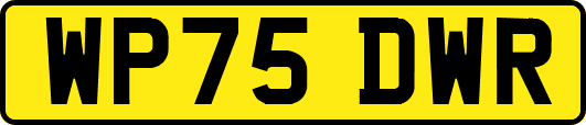 WP75DWR