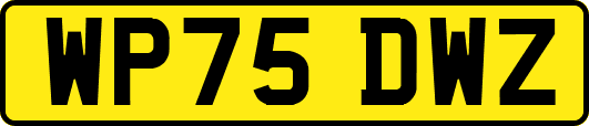 WP75DWZ