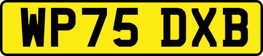 WP75DXB