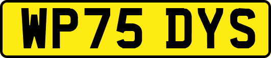 WP75DYS