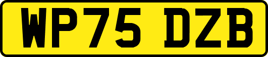 WP75DZB
