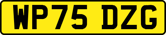 WP75DZG