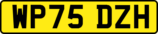 WP75DZH