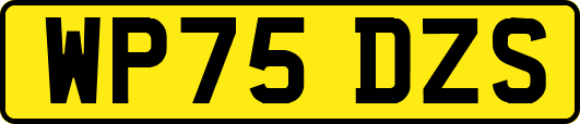 WP75DZS