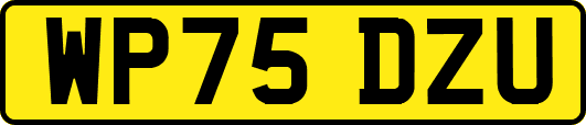 WP75DZU