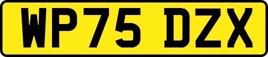 WP75DZX