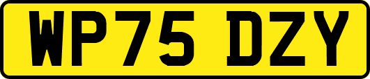 WP75DZY