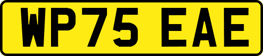 WP75EAE