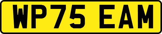 WP75EAM