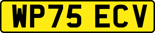 WP75ECV