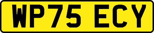WP75ECY