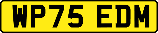 WP75EDM