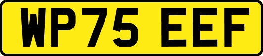 WP75EEF